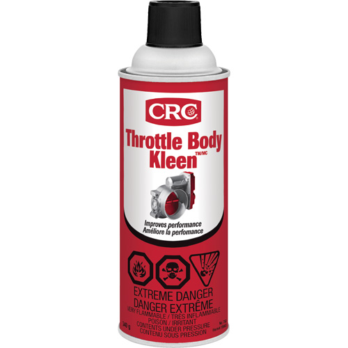 Throttle Body Kleen Air Intake Cleaner, Aerosol Can Cintas