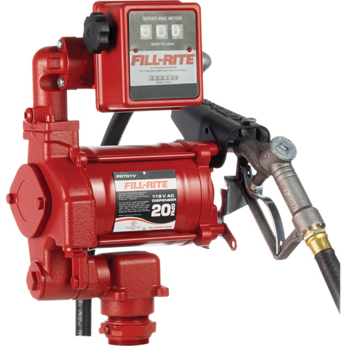 AC Utility Rotary Vane Pumps, 115 V, 20 GPM Cintas