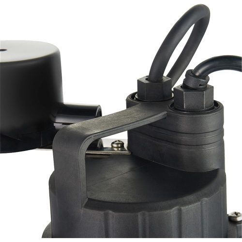 Pompe de puisard submersible thermoplastique, 2560 gal./h, 115 V, 4,6 A, 1/3 CV Cintas