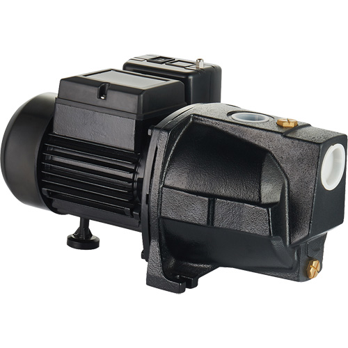Dual Voltage Cast Iron Shallow Well Jet Pump, 115 V/230 V, 1100 GPH, 1 HP Cintas