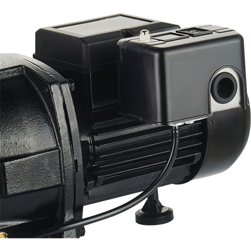 Dual Voltage Cast Iron Shallow Well Jet Pump, 115 V/230 V, 1100 GPH, 1 HP Cintas