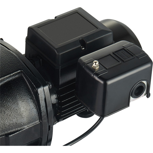 Dual Voltage Cast Iron Shallow Well Jet Pump, 115 V/230 V, 1100 GPH, 1 HP Cintas