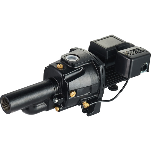 Dual Voltage Cast Iron Convertible Jet Pump, 115 V/230 V, 1100 GPH, 1/2 HP Cintas