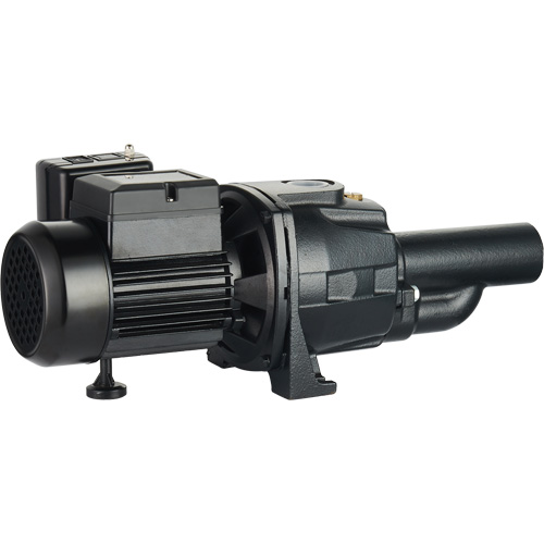 Dual Voltage Cast Iron Convertible Jet Pump, 115 V/230 V, 1100 GPH, 1/2 HP Cintas