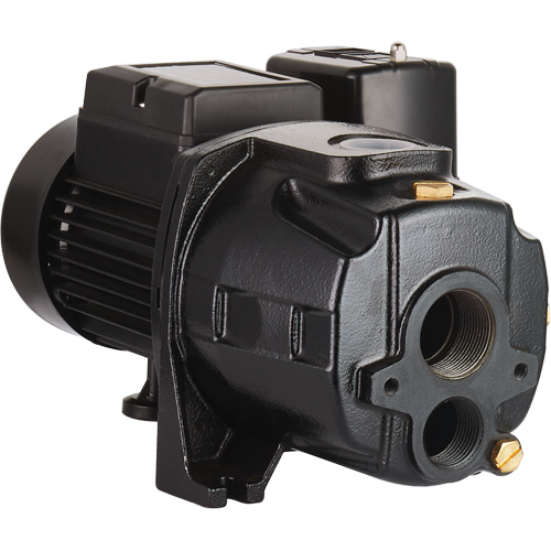 Dual Voltage Cast Iron Convertible Jet Pump, 115 V/230 V, 1100 GPH, 1/2 HP Cintas