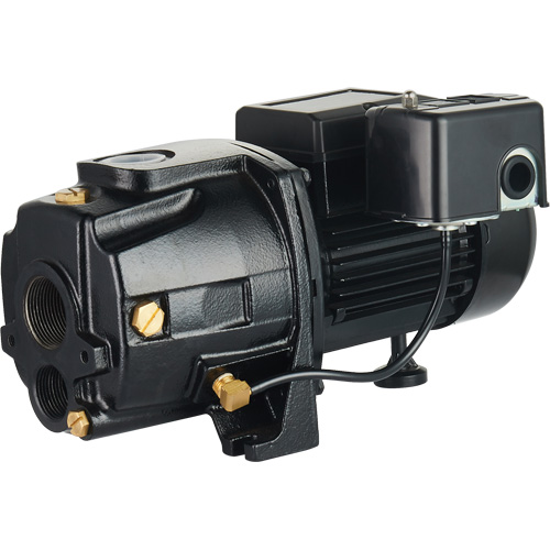 Dual Voltage Cast Iron Convertible Jet Pump, 115 V/230 V, 1100 GPH, 1/2 HP Cintas