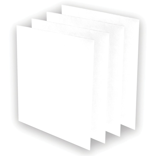 AeraMax&reg; Pro AM3 or AM4 Pre-Filters, 13.75" W x 0.13" D x 14.38" H Cintas