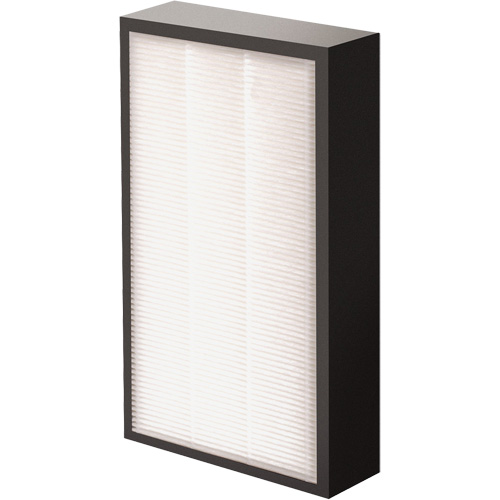 AeraMax&reg; Pro AM2 1-3/4" True HEPA Filter, Box, 7.38" W x 1.88" D x 12.88" H Cintas