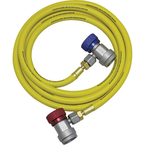 R134a A/C System Flush Hose Assembly Cintas