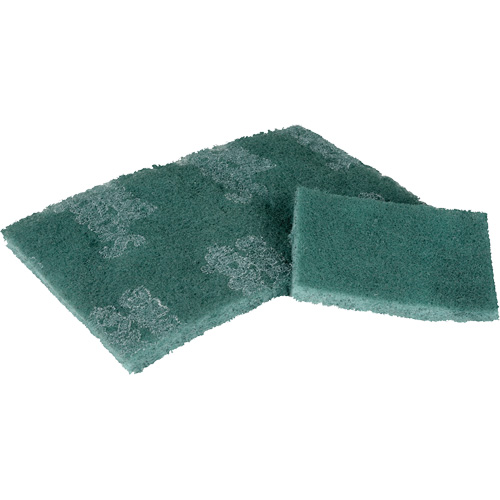Scrubber Pad, 3" L x 4-1/2" W Cintas