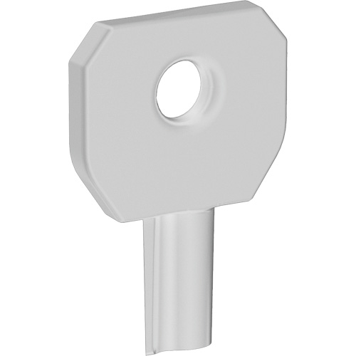 Cl&eacute; pour distributeur Lock or Not Cintas
