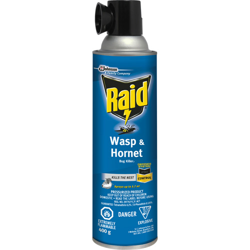 Raid&reg; Wasp & Hornet Bug Killer, 400 g, Solvent Base Cintas