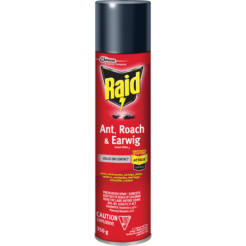 Insecticide contre fourmis, coquerelles et perce-oreilles Raid, 350 g, &agrave; base de solvant Cintas