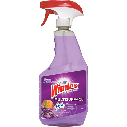 Windex&reg; Multi-Surface Cleaner, 765 ml, Trigger Bottle Cintas