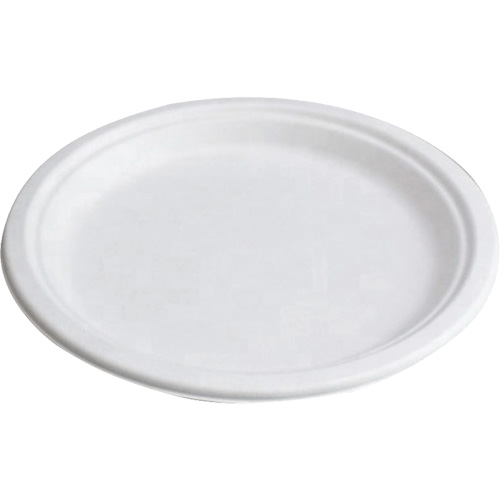 Assiettes compostables Cintas