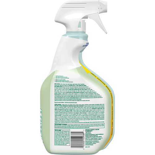 Nettoyant d&eacute;sinfectant CloroxPro Clorox EcoClean, 946 ml, Bouteille &agrave; g&acirc;chette Cintas