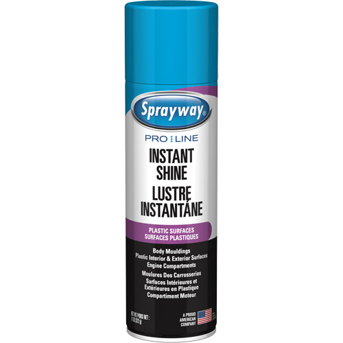Pro Line Instant Shine for Plastic Surfaces, 11 oz., Aerosol Can Cintas