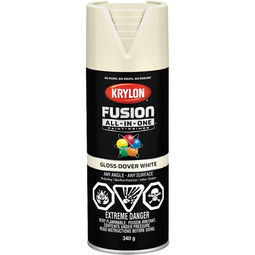 Fusion All-In-One Spray Paint, Dover White, Gloss, 12 oz., Aerosol Can Cintas