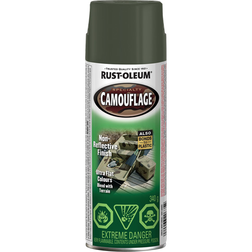 Peinture de camouflage Sp&eacute;cialit&eacute;, Canette a&eacute;rosol, Vert arm&eacute;e Cintas