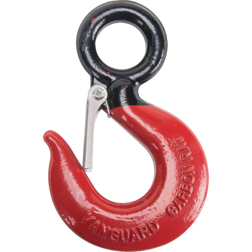 Black Eye&reg; Wire Rope Hoist Hook Cintas