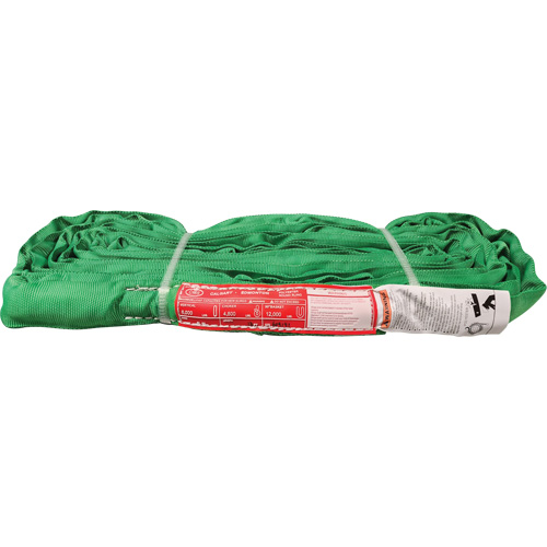 &eacute;lingue ronde en polyester, Vert, 12' lo, 6000 lb Charge verticale Cintas