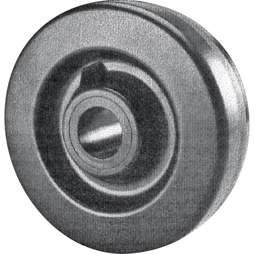 Roue ph&eacute;nolique Cintas