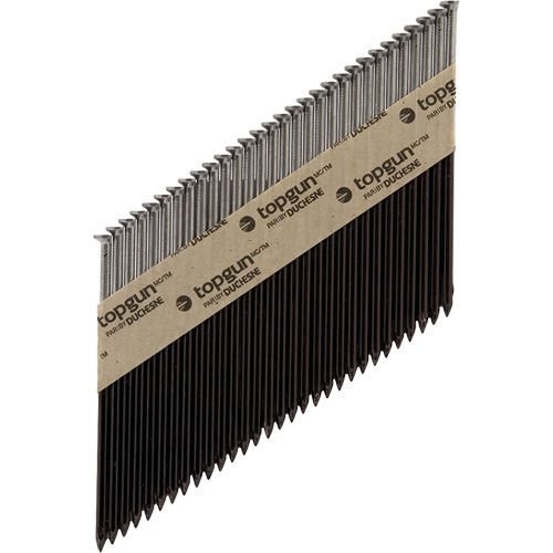 Collated Nails Cintas