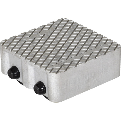 Cast Aluminum Propel Dolly Cintas