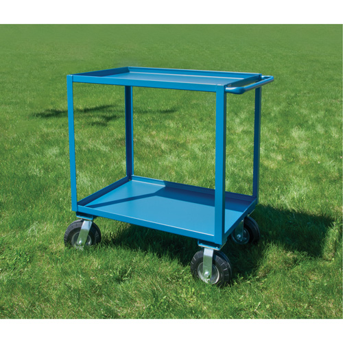 Outdoor Shelf Cart, 2 Tiers, 24" W x 39" H x 39" D, 1200 lbs. Capacity Cintas