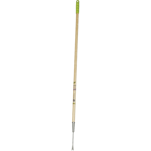 Dandelion Weeder Cintas