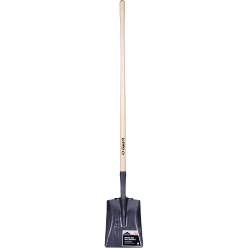 Pelle carr&eacute;e  Pro, Bois, Lame Acier durci, Manche en Droit, Longueur 48" Cintas