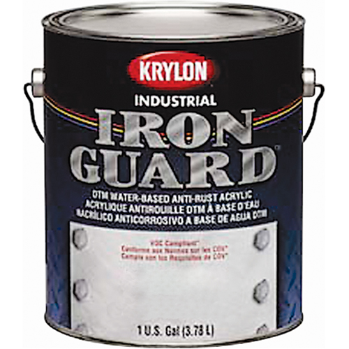 Industrial Iron Guard&reg; Water-Based Enamel, Can, Grey Cintas