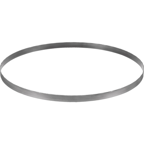Lame de scie &agrave; ruban sans fil, Bim&eacute;tal, 32-7/8" lo x &eacute;paisseur 0,02", 14-18 dents par pouce Cintas