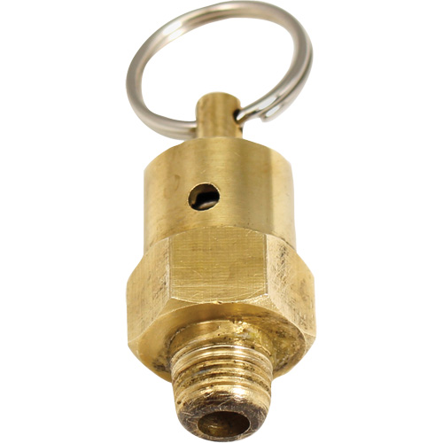 Viton&reg; Pressure Relief Valve Cintas