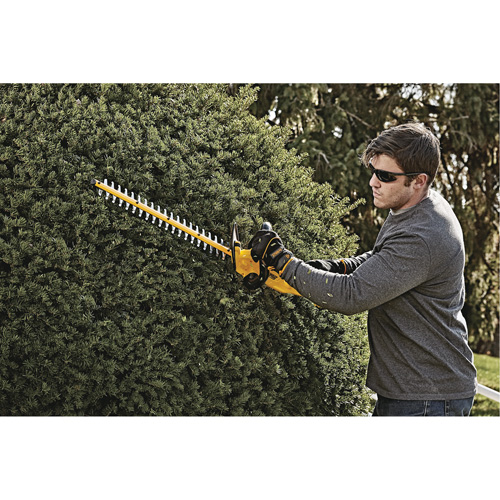 Taille-haie MAX*, 22", 20 V, &agrave; pile Cintas