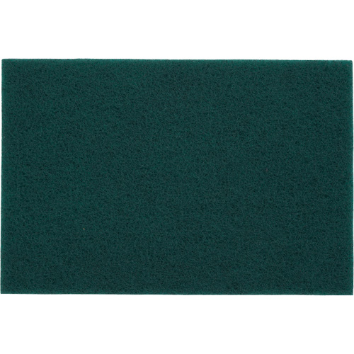 Tampons manuels Bear-Tex, Oxyde d'aluminium, 6" x 9", Grain Tr&egrave;s fin Cintas