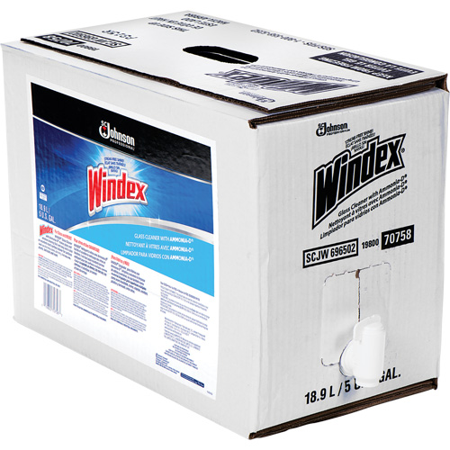 Windex&reg; Glass Cleaner with Ammonia-D&reg;, 5 gal., Bag Cintas