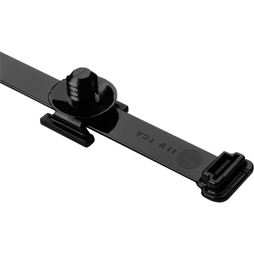Attaches de c&acirc;bles/support pour sapin robustes Cintas