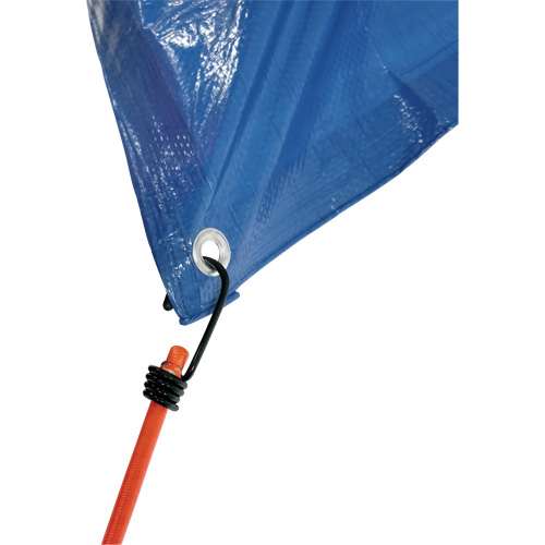 Sangles d'arrimage &eacute;lastiques, 18" Cintas