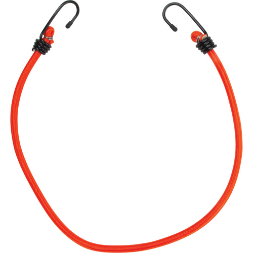 Bungee Cord Tie Downs, 24" Cintas