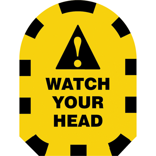 M.A.G.s Mirror Awareness Guards Cintas