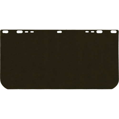 Visi&egrave;re Valuguard, Polycarbonate, Teinte Vert Cintas