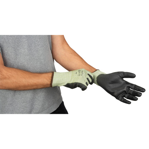 Gants &eacute;lastiques &eacute;cologiques sans coutures r&eacute;sistants &agrave; la coupe, Taille 8, Calibre 13, Rev&ecirc;tement Polyur&eacute;thane, Enveloppe en PEHP/rPET, ASTM ANSI niveau A4 Cintas