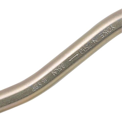 CP-04011-1 Zinc Plated Carabiner with 2" Gate Opening, Steel Cintas