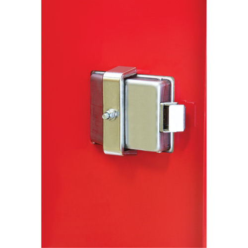 Armoires ext&eacute;rieures robustes pour extincteurs, 14" la x 28" h x 10" p Cintas