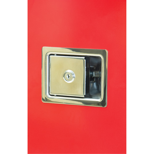 Armoires ext&eacute;rieures robustes pour extincteurs, 14" la x 28" h x 10" p Cintas