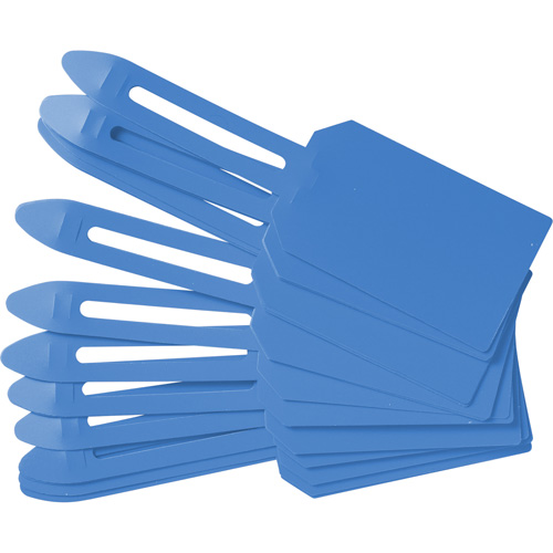&eacute;tiquettes de cadenassage vierges en plastique, Plastique, 3-1/4" la x 5-4/5" h, Vierge Cintas
