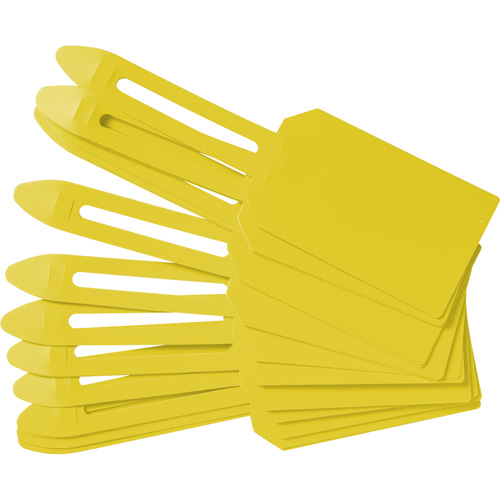 &eacute;tiquettes de cadenassage vierges en plastique, Plastique, 3-1/4" la x 5-4/5" h, Vierge Cintas