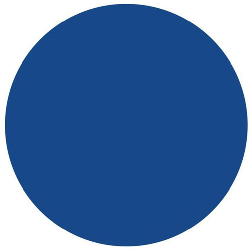Round Write-On Labels, Circle, 1.5" L x 1.5" W, Blue Cintas