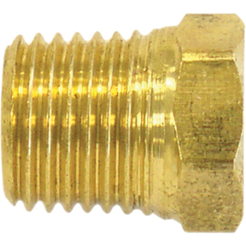 Pipe Plug (Hex Head), 1/2" Dia., Brass Cintas
